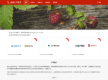 轻松建网站！一款简单好用的宽屏大气企业官网网站模板